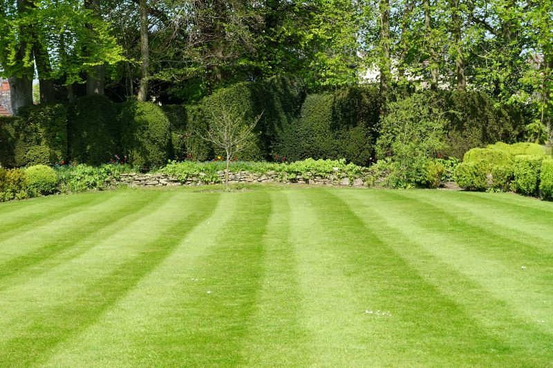 Lawn with Trimmed Trees